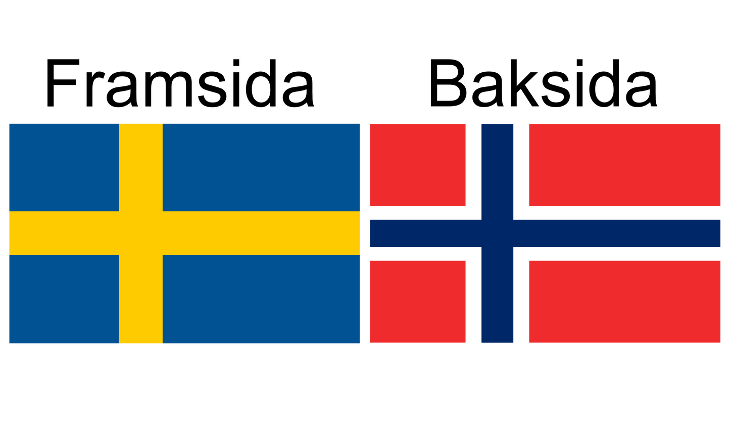 Tvåsidig flagga