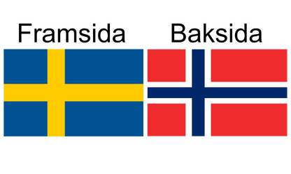 Dubbelsidig flagga